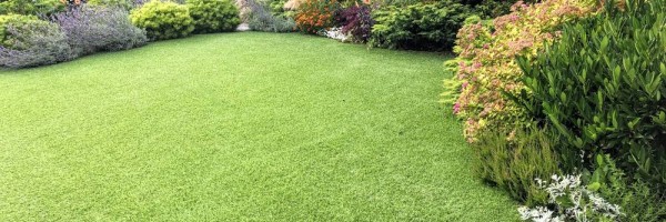 Thinking About Artificial Grass?