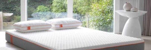 Choosing The Right Mattress From Toons