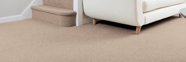 Toons Top Picks For Light Coloured Carpets