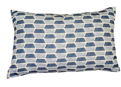 Darwin Blue Cushion