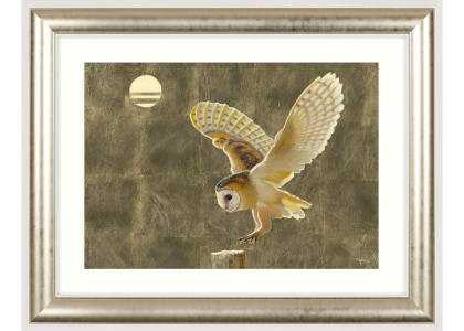 Gold Owl