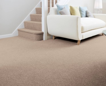 Toons Top Picks For Light Coloured Carpets