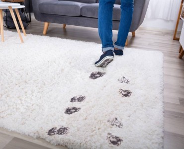 Toons Top Tips For Rug Cleaning This Winter