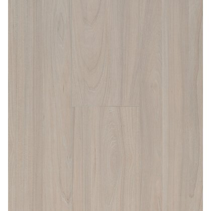 Ocean 8 V4 Elm Light