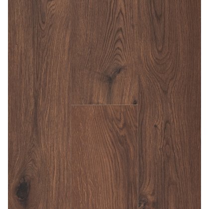 Ocean 8 V4 Gyant XL Warm Brown