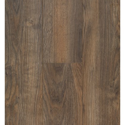 Ocean 8 V4 Java Brown