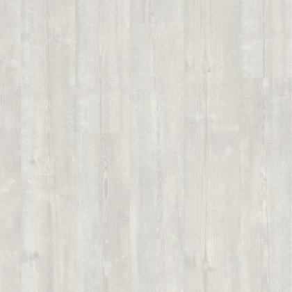 Bloom Snow Pine Bloom Snow Pine