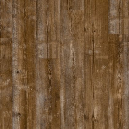 Bloom Sundown Pine Bloom Sundown Pine