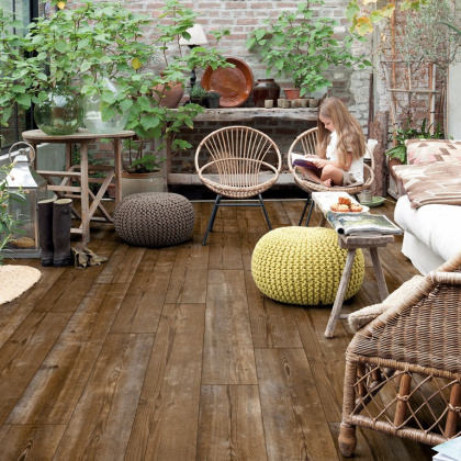 Bloom Sundown Pine Bloom Sundown Pine