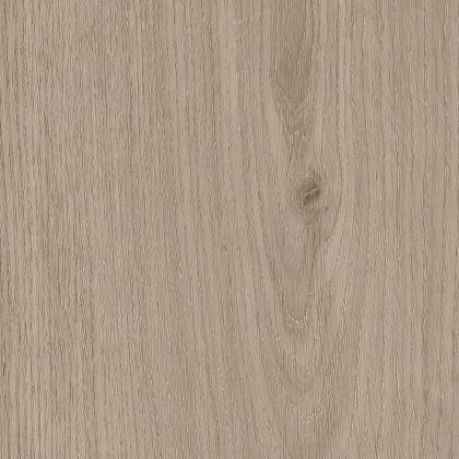 Sherwood Oak Shell