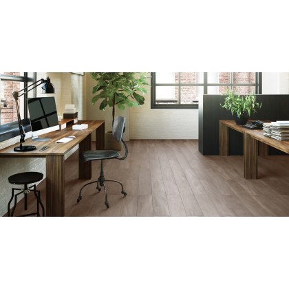 New England Oak Dusk