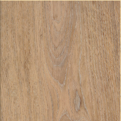 Silk Oak Oat