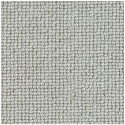 Barrington Loop Stucco