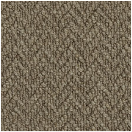 Sawley Wool Loop Shark