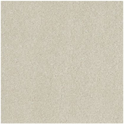 Silken Velvet Ammolite