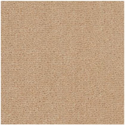 Westend Velvet Champagne