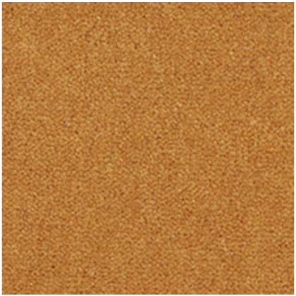 Westend Velvet Pumpkin