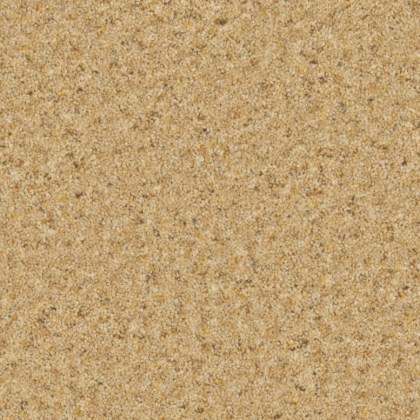 Balmoral Elite Bloom