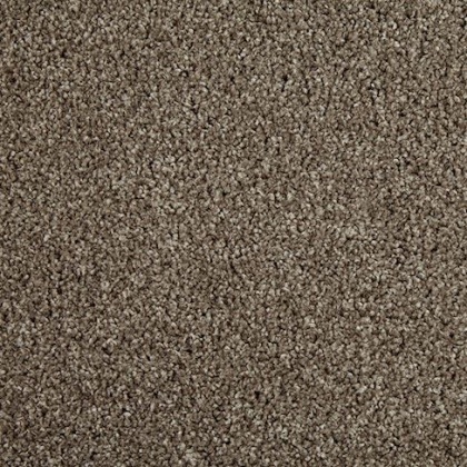 Kinross Elite Appaloosa