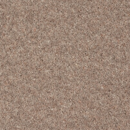 Moorside Heathers Deluxe Hornbeam