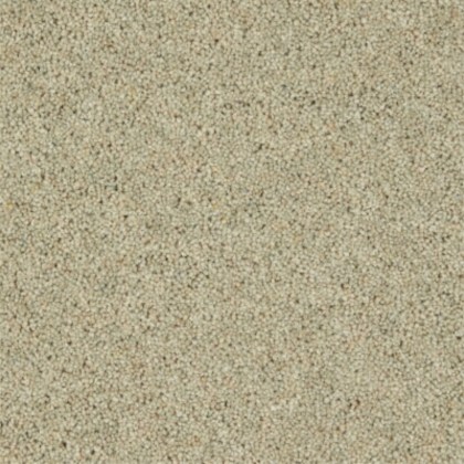 Moorside Heathers Elite Parsley