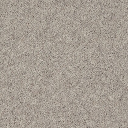 Moorside Heathers Elite Presence