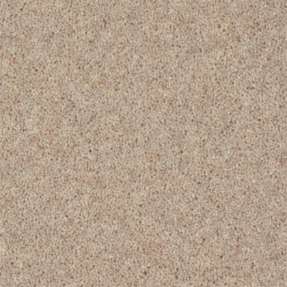 Moorside Heathers Elite Barn Owl