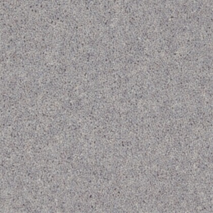 Moorside Heathers Elite Silver Birch