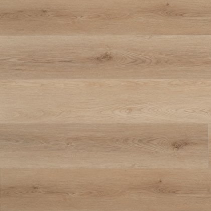 Nakuru Click Baboon Nakuru Click Baboon