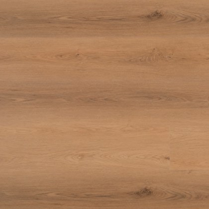 Nakuru Click Impala Nakuru Click Impala