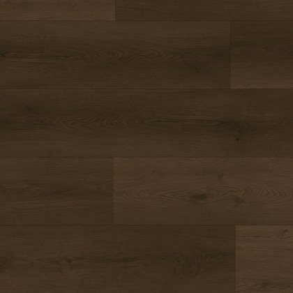 Tigris Dryback Chocolate Fudge