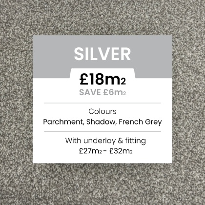 Toons Stock Range - Silver Collection (Soft Shadow)