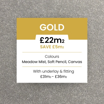 Toons Stock Range - Gold Collection (Soft Pencil)