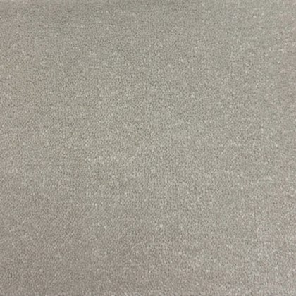 Toons Stock Range - Gold Collection (Canvas)