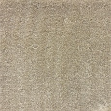 The Market Collection Stock - Canopy Cream The Market Collection Stock - Canopy Cream