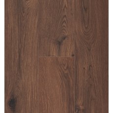 Ocean 8 V4 Gyant XL Warm Brown Ocean 8 V4 Gyant XL Warm Brown