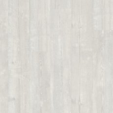 Bloom Snow Pine Bloom Snow Pine