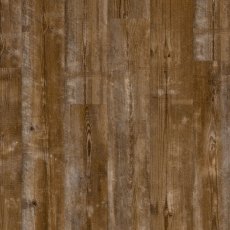 Bloom Sundown Pine Bloom Sundown Pine