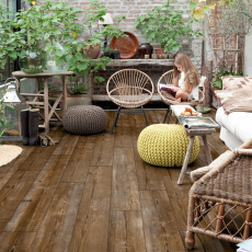 Bloom Sundown Pine Bloom Sundown Pine