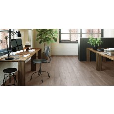 New England Oak Dusk