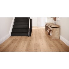 Silk Oak Oat Silk Oak Oat