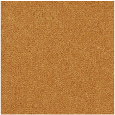 Westend Velvet Pumpkin