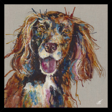 Spaniel