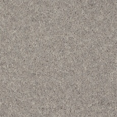 Moorside Heathers Elite Herdwick