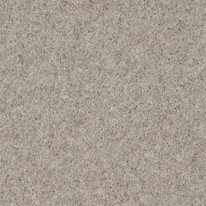 Moorside Heathers Elite Presence