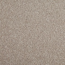 Kinross Song Thrush Kinross Song Thrush