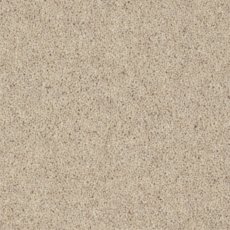 Moorside Heathers Elite Ryton Oatmeal