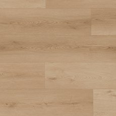 Tigris Click Lion Tigris Click Lion