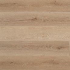 Nakuru Click Baboon Nakuru Click Baboon