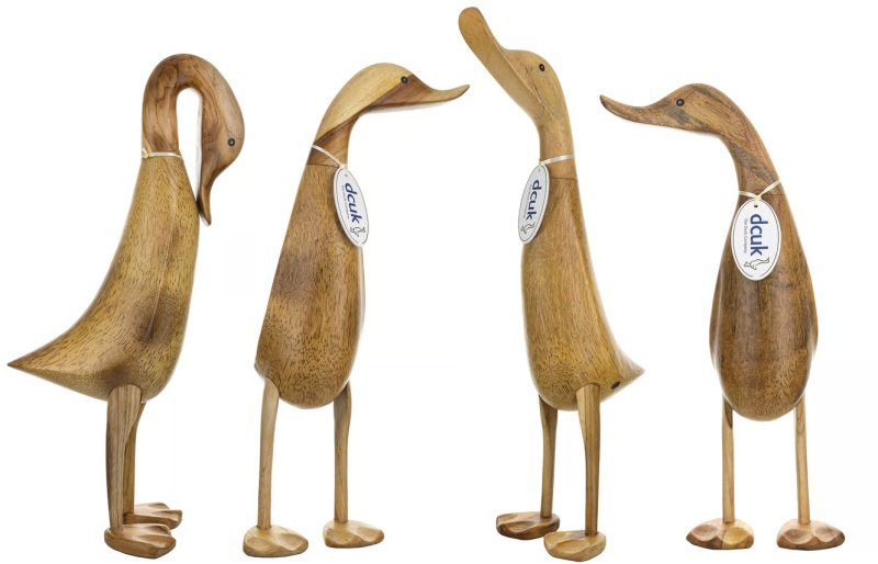 natural duucks